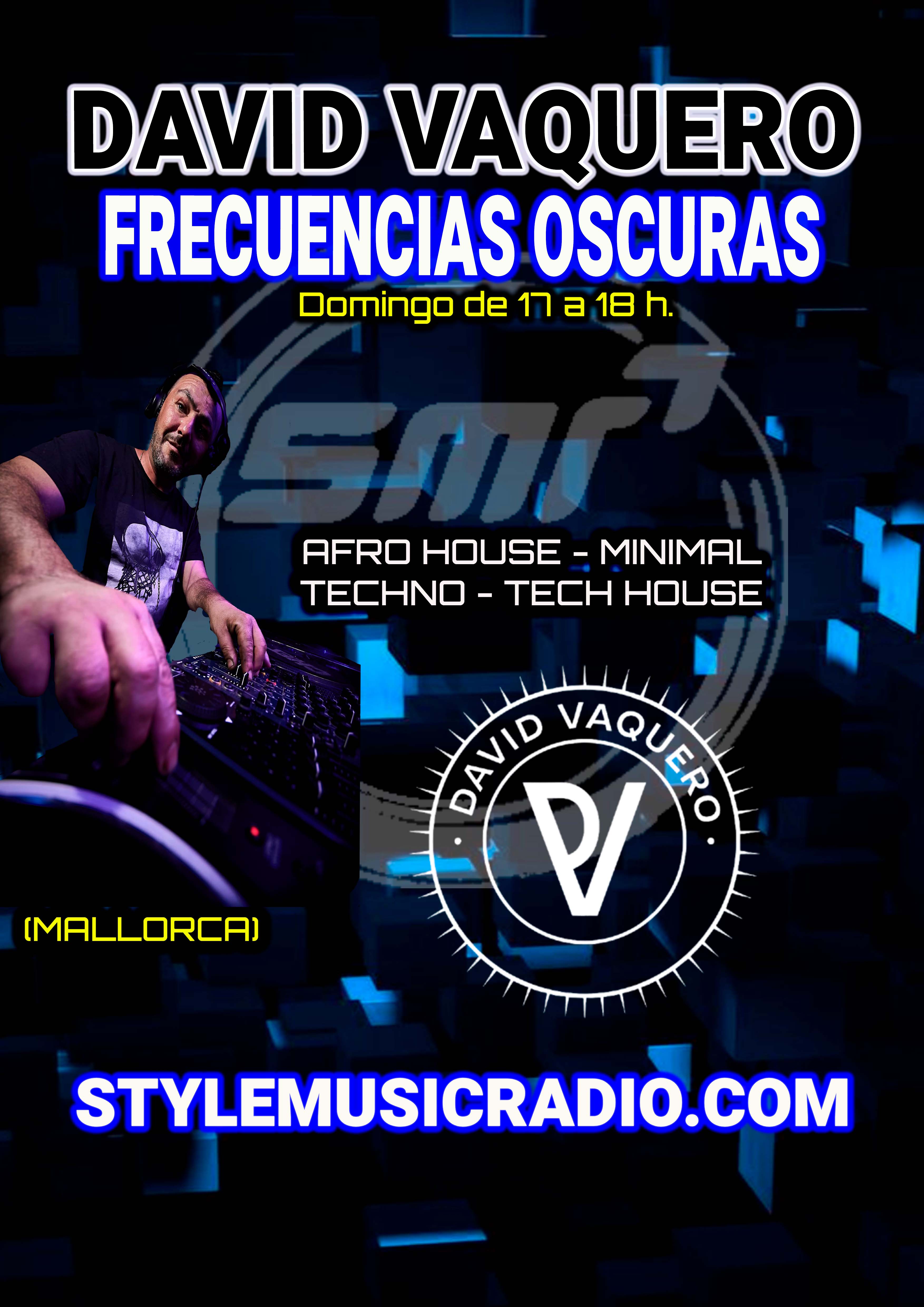 BANNER VERTICAL DAVID VAQUERO